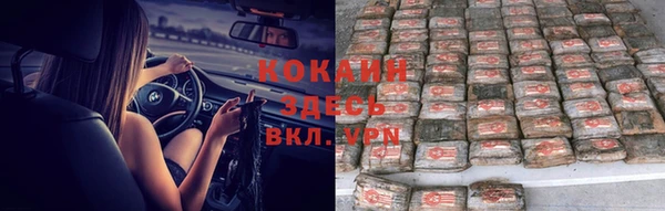 спиды Алзамай