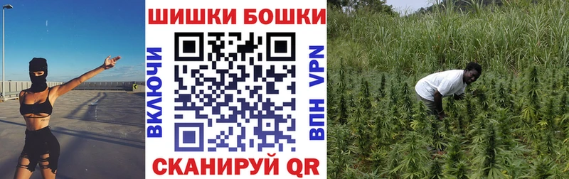 Марихуана Amnesia  Моздок 